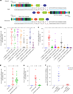 Herbicide-resistant plants produced by precision adenine base editing in plastid DNA