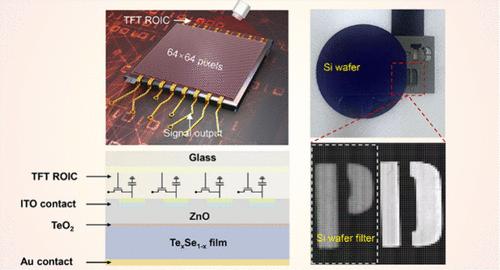 TexSe1–x Shortwave Infrared Photodiode Arrays with Monolithic Integration