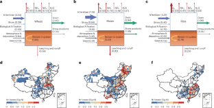 Localized nitrogen management strategies can halve fertilizer use in Chinese staple crop production