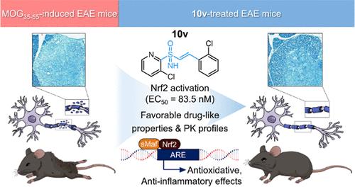 Discovery and Optimization of a Series of Vinyl Sulfoximine-Based Analogues as Potent Nrf2 Activators for the Treatment of Multiple Sclerosis