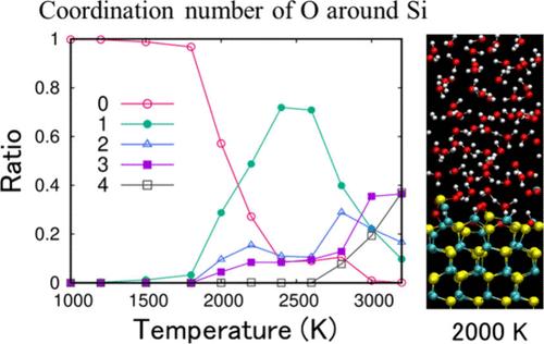 Ab Initio Molecular Dynamics Approach for Oxidation of SiC Surface in Contact with Aqueous H2O2 Solutions