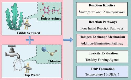 Reactivity, Pathways, and Iodinated Disinfection Byproduct Formation during Chlorination of Iodotyrosines Derived from Edible Seaweed