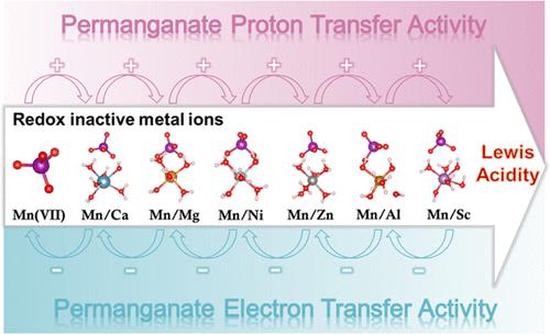 Proton vs Electron: The Dual Role of Redox-Inactive Metal Ions in Permanganate Oxidation Kinetics