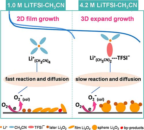 Mechanistic Study on Oxygen Reduction Reaction in High-Concentrated Electrolytes for Aprotic Lithium–Oxygen Batteries