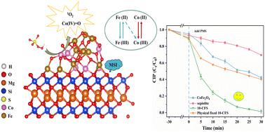 How metal/support interaction improved degradation performance in the peroxymonosulfate activation process: significance of high-valent cobalt-oxo species