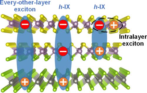 Diverse Excitonic Phenomena in Asymmetric Trilayer Transition Metal Dichalcogenide Heterostructures