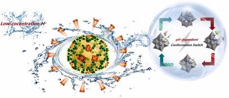 In-situ Assembly of Polyoxometalate-Based Metal-Organic Framework for High-Efficiency Recovery of Uranium