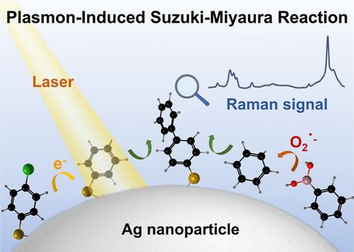 Unveiling Plasmon-Induced Suzuki–Miyaura Reactions on Silver Nanoparticles via Raman Spectroscopy