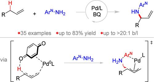 Palladium-Catalyzed Branch-Selective Allylic C–H Amination Enabled by Nucleophile Coordination