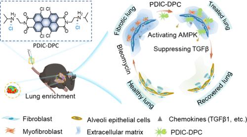 Lung-Targeting Perylenediimide Nanocomposites for Efficient Therapy of Idiopathic Pulmonary Fibrosis