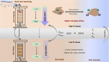 Migration and Availability of Ni and Cd in Industrial Soils Under Different Leaching Conditions: Insights from DGT and DIFS Models