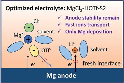 A Li/Mg Double-Salt Strategy Based on Amine Solvent Achieves Bulk Phase-Interface-Electrode Multi-Scale Optimization for Mg Metal Batteries