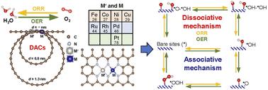 DFT screening of dual-atom catalysts on carbon nanotubes for enhanced oxygen reduction reaction and oxygen evolution reaction: comparing dissociative and associative mechanisms