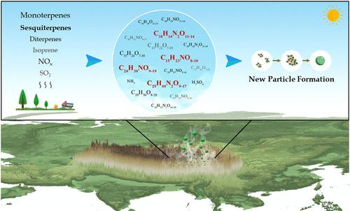 The Pivotal Role of Heavy Terpenes and Anthropogenic Interactions in New Particle Formation on the Southeastern Qinghai-Tibet Plateau