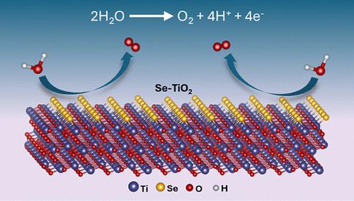 Theoretical Insights into Electrocatalytic Oxygen Evolution on Se-Doped TiO2