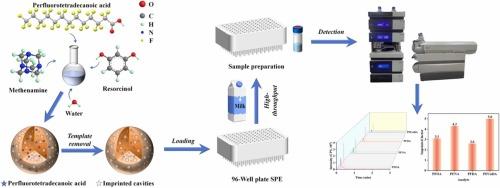 Innovative hierarchical porous hydrophilic molecularly imprinted resin for high-throughput detection of perfluorocarboxylic acids in milk using 96-well plate SPE-LC-MS/MS