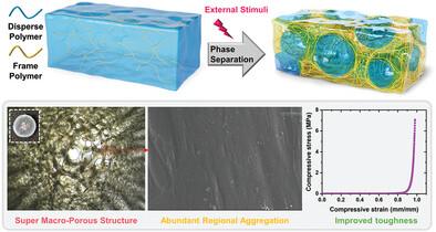 Facile Fabrication of Tough Super Macroporous Hydrogel via Enhanced Phase Separation