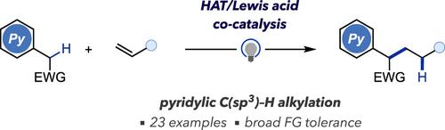 Photo-Induced Pyridylic C(sp3)–H Alkylation with Unactivated Alkenes Enabled by Hydrogen Atom Transfer/Lewis Acid Cocatalysis