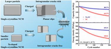 Improved high-voltage cycling stability of single-crystalline LiNi0.8Co0.1Mn0.1O2 cathode by tantalum doping