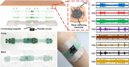 Self-Healing and Shear-Stiffening Electrodes for Wearable Biopotential Sensing and Gesture Recognition