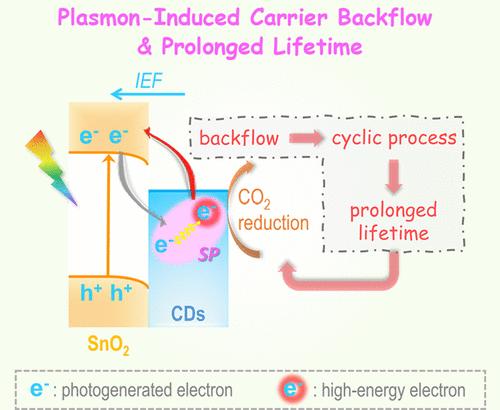 Nonmetal Plasmon-Induced Carrier Backflow and Prolonged Lifetime for CO2 Photoreduction