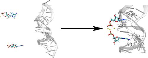 Mechanism of Dual-Site Recognition in a Classic DNA Aptamer