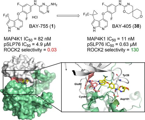 Discovery of BAY-405: An Azaindole-Based MAP4K1 Inhibitor for the Enhancement of T-Cell Immunity against Cancer