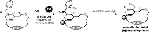 An Approach for Highly Enantioselective Synthesis of meta-Disubstituted [n]Paracyclophanes