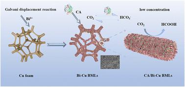 A Bi–Cu bimetallene array/carbonic anhydrase biohybrid for efficient and selective CO2 electroreduction at low concentration