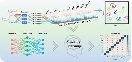 Machine Learning-Based Nanozyme Sensor Array as an Electronic Tongue for the Discrimination of Endogenous Phenolic Compounds in Food