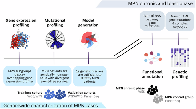 Characterization of myeloproliferative neoplasms based on genetics only and prognostication of transformation to blast phase