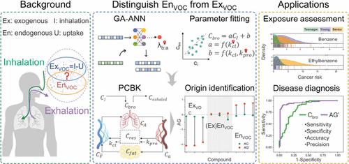 Advancing Breathomics through Accurate Discrimination of Endogenous from Exogenous Volatiles in Breath