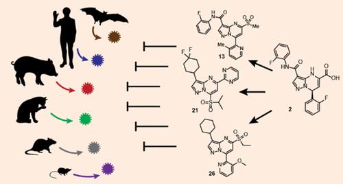 Identification of Potent, Broad-Spectrum Coronavirus Main Protease Inhibitors for Pandemic Preparedness