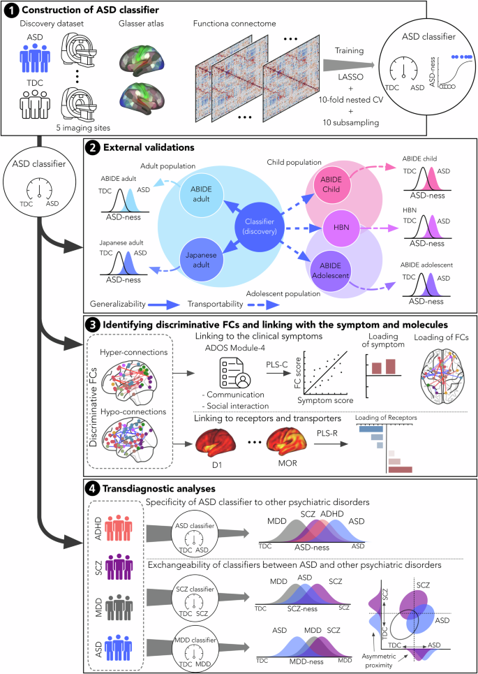 Generalizable and transportable resting-state neural signatures characterized by functional networks, neurotransmitters, and clinical symptoms in autism