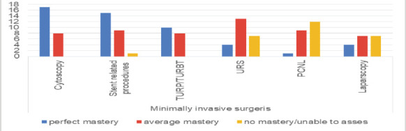 Urology Training in sub-Saharan Africa: A Survey of Training Directors.