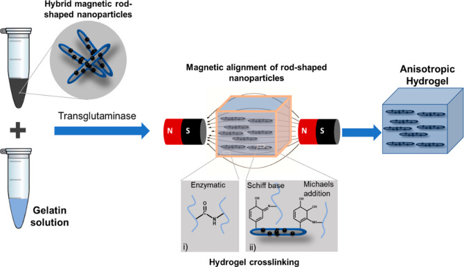 Stimuli-responsive hydrogels for bone tissue engineering.