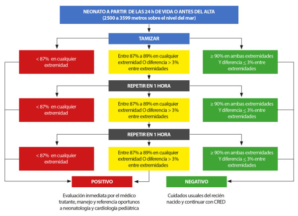 [Neonatal screening for critical congenital heart diseases in Peru: an urgent call].