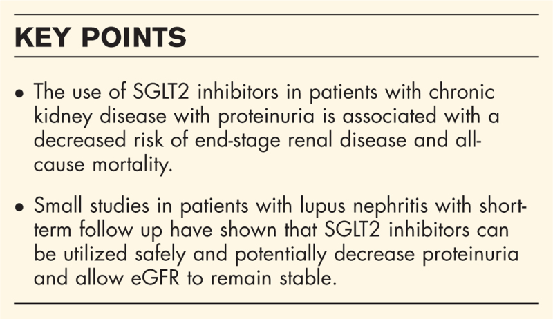 SGLT-2 inhibitors: new horizons for rheumatologists.