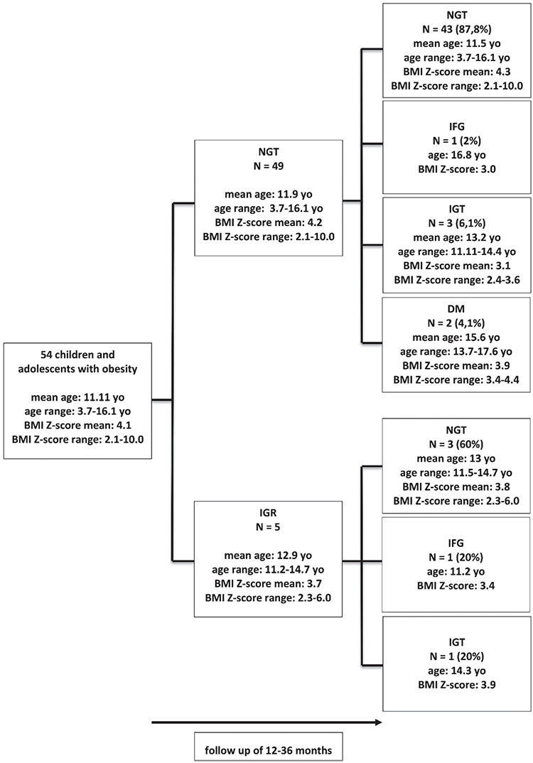 Reversibility of Hyperglycemic States in Children with Obesity - Diagnostic Pitfalls in the Assessment of Glucose Metabolism in Children and Adolescents with Obesity