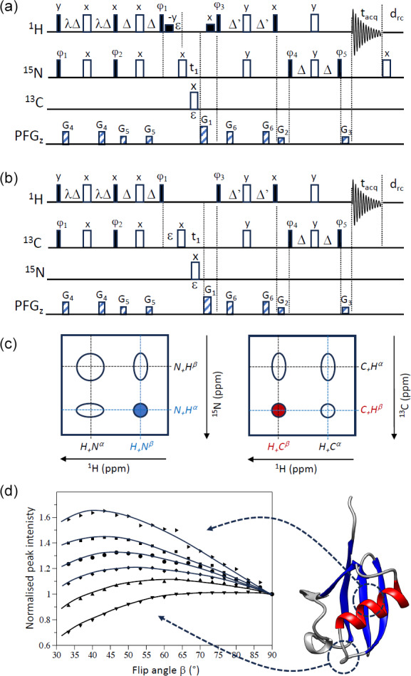 PRESERVE: adding variable flip-angle excitation to transverse relaxation-optimized NMR spectroscopy.