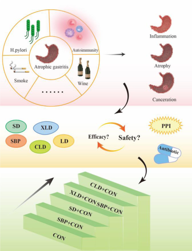 Optimized therapeutic potential of Sijunzi-similar formulae for chronic atrophic gastritis via Bayesian network meta-analysis.