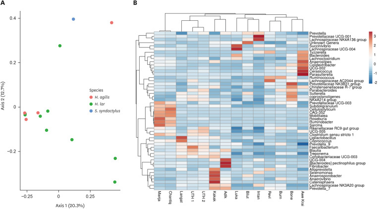 Gut microbial assessment among Hylobatidae at the National Wildlife Rescue Centre, Peninsular Malaysia.