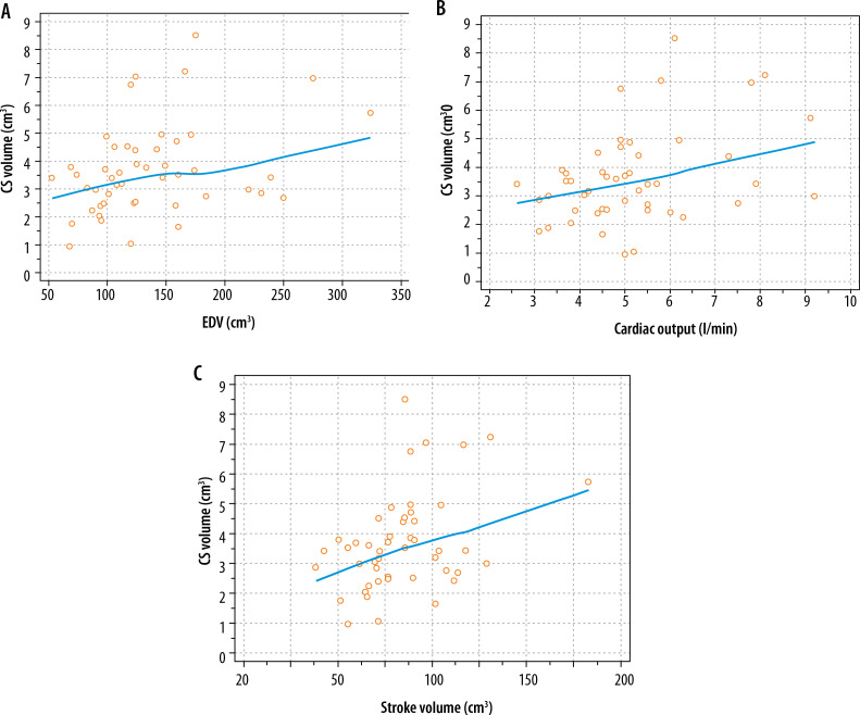Possibility to measure the volume of coronary sinus in contrast-enhanced computed tomography.