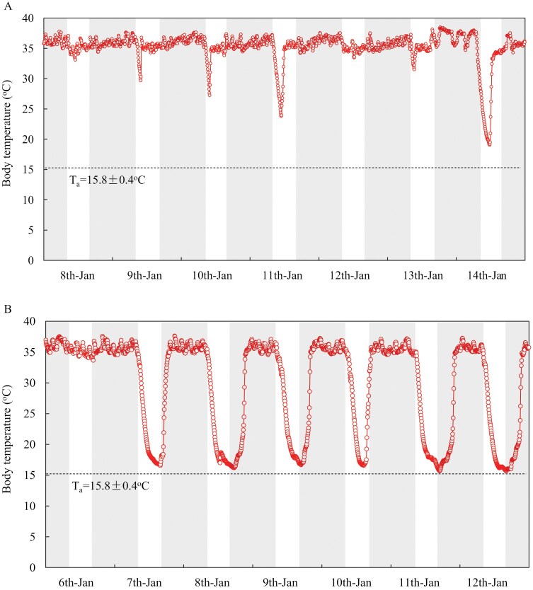 Torpor expression and patterns in 3 sympatric rodents from Inner Mongolia.