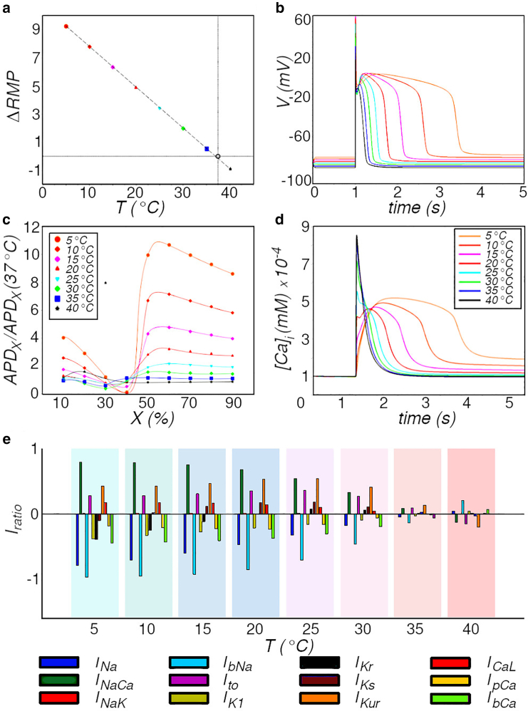 In silico thermal control of spiral wave dynamics in excitable cardiac tissue.