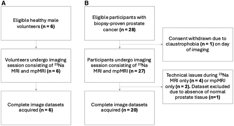 Different sodium concentrations of noncancerous and cancerous prostate tissue seen on MRI using an external coil.