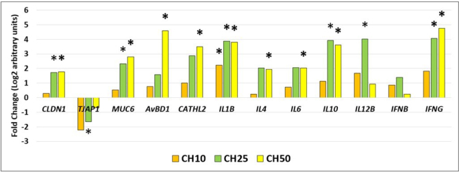 The effect of coffee husks used as pellet bedding material on the intestinal barrier, immune-related gene expression and microbiota composition in the broiler chicken caecum.