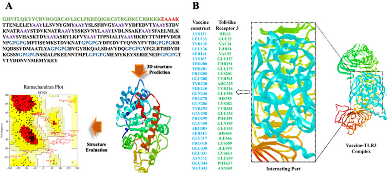 Prediction of promiscuous multiepitope-based peptide vaccine against RdRp of rotavirus using immunoinformatics studies.
