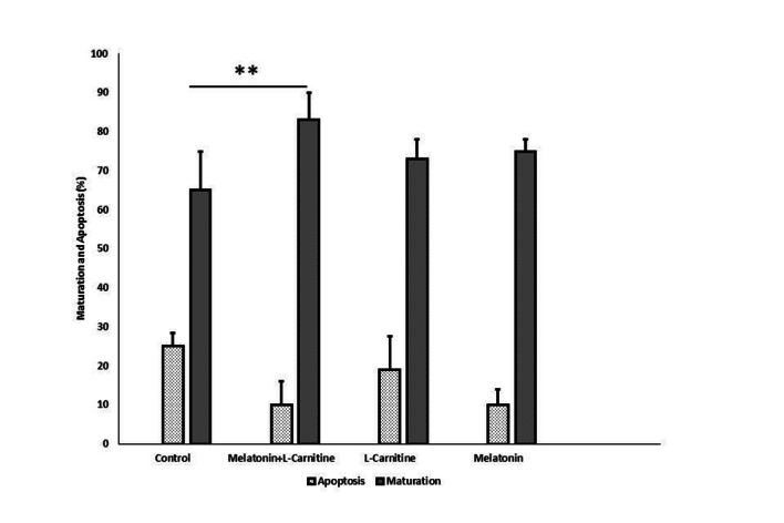 Effects of combination of melatonin and L-carnitine on in vitro maturation in mouse oocytes: An experimental study.