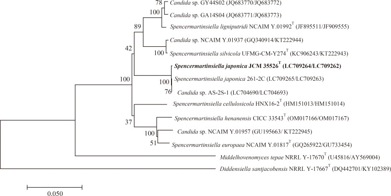 <i>Spencermartinsiella japonica</i> f.a., sp. nov., a novel yeast species isolated from biofilm in a reverse osmosis system.